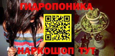 кокс Малоярославец