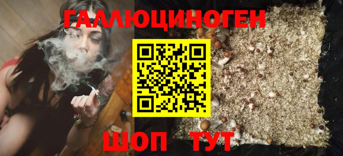 Псилоцибиновые грибы прущие грибы  Вход с VPN  Псилоцибиновые грибы MAGIC MUSHROOMS  Губаха 