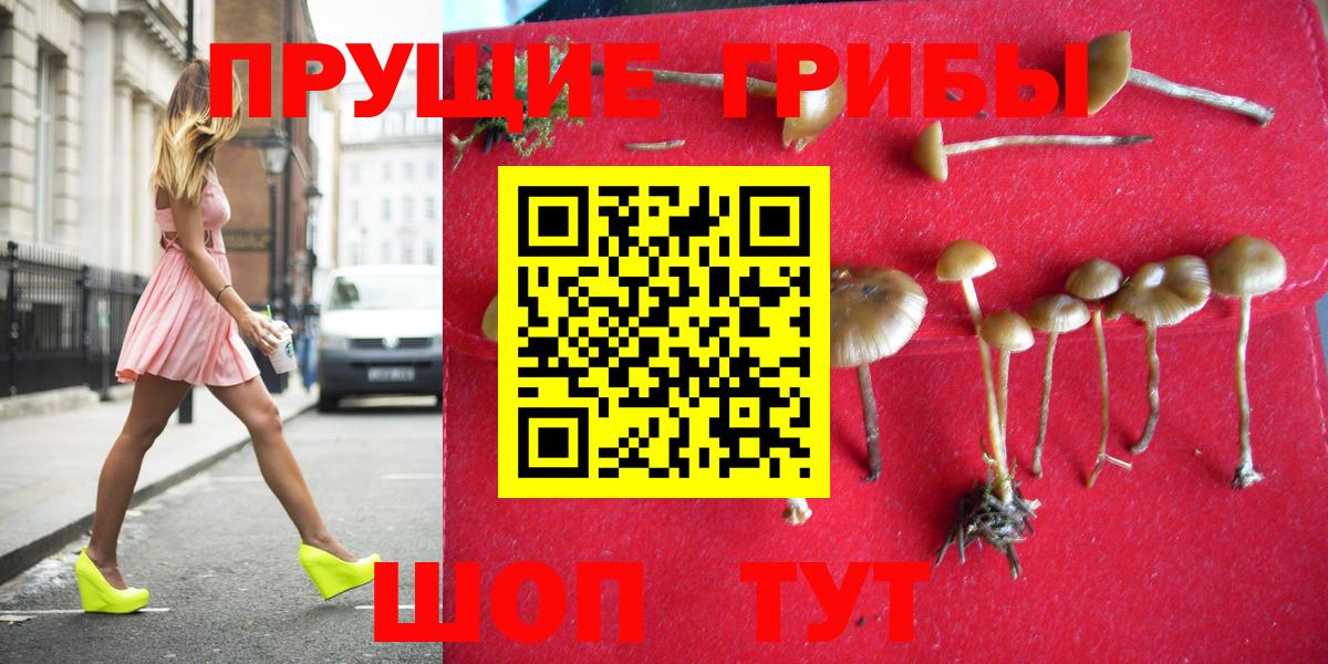 Галлюциногенные грибы ЛСД Губаха