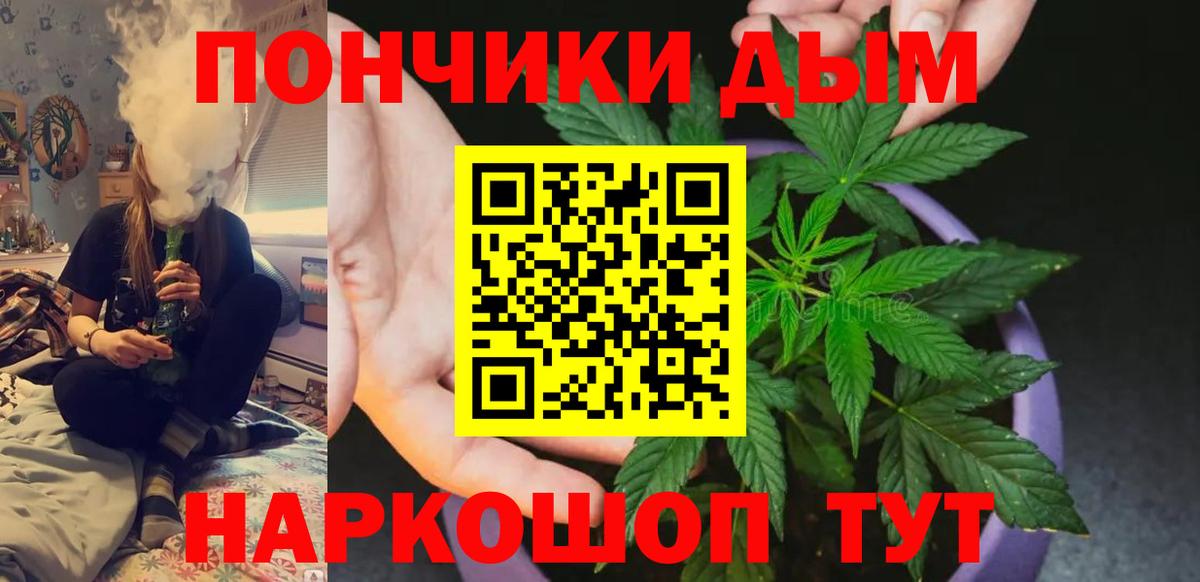 Бошки Шишки марихуана  Конопля сатива  Губаха  Вход с VPN 